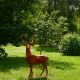 Cerf dans le parc de la pépinière - tête à gauche