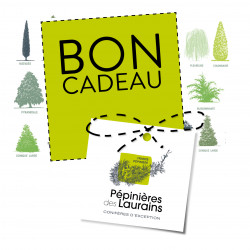 BON D'ACHAT