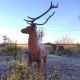 Cerf actuellement en stock - tête à droite