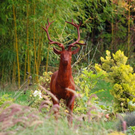 Cerf tête droite