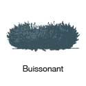 Buissonnant