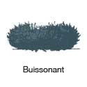 Buissonnant