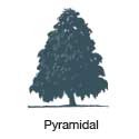 Pyramidal